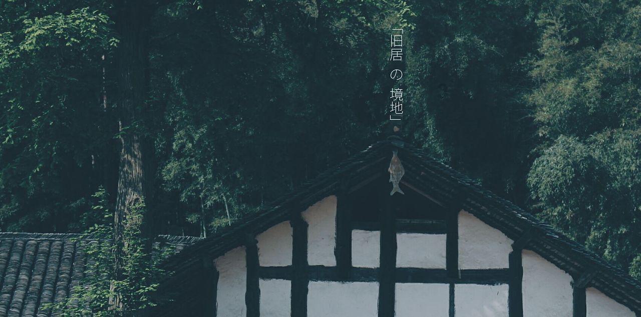 二两勺子为什么只有七十几克呢？游戏画面