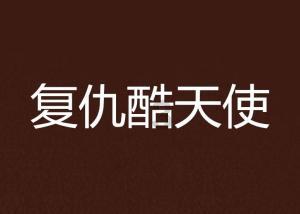 完美的收藏品
