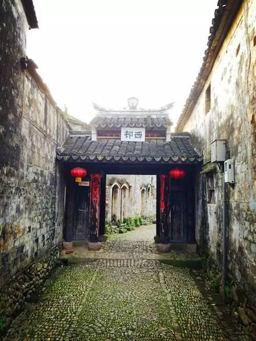 动物帮帮忙保卫家园