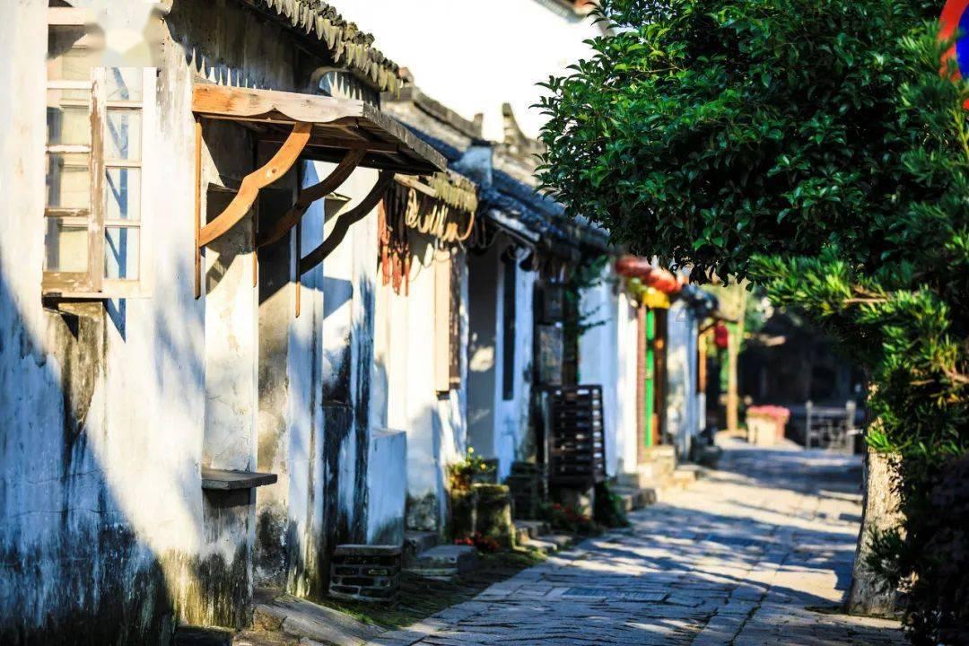 我要当大触