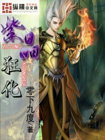 外星球体进黑洞